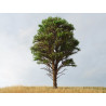 Créer : des arbres à la portée de tous grâce à Microrama