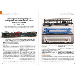 Les wagons transport autos TAC