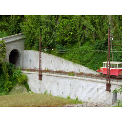 Rail Miniature Flash 679
