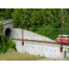 Rail Miniature Flash 679