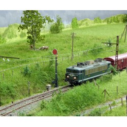 L’implantation de la végétation (3ème partie)